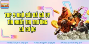 Top 5 Nhà Cái Đá Gà Uy Tín Nhất Thị Trường Cá Cược