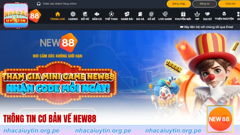 Thông tin cơ bản về New88