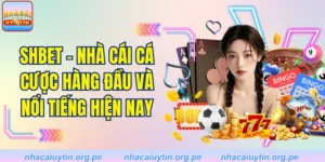 SHBET - Nhà Cái Cá Cược Hàng Đầu Và Nổi Tiếng Hiện Nay