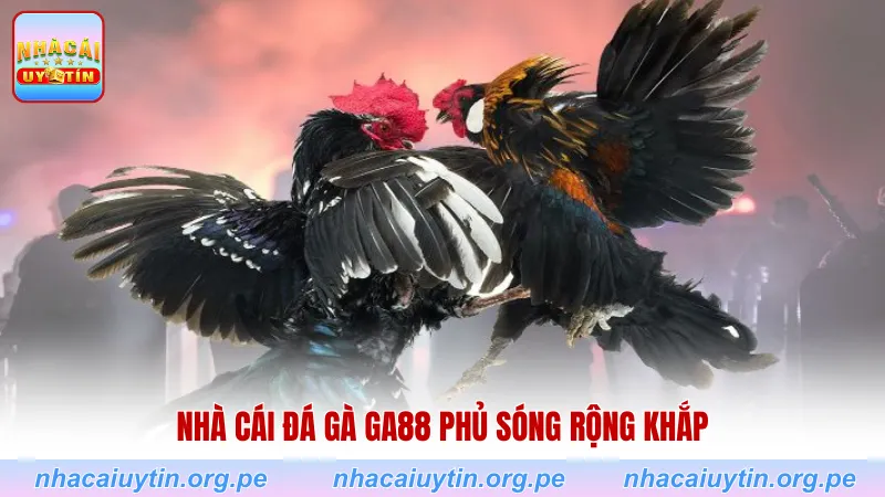 Nhà cái đá gà GA88 phủ sóng rộng khắp