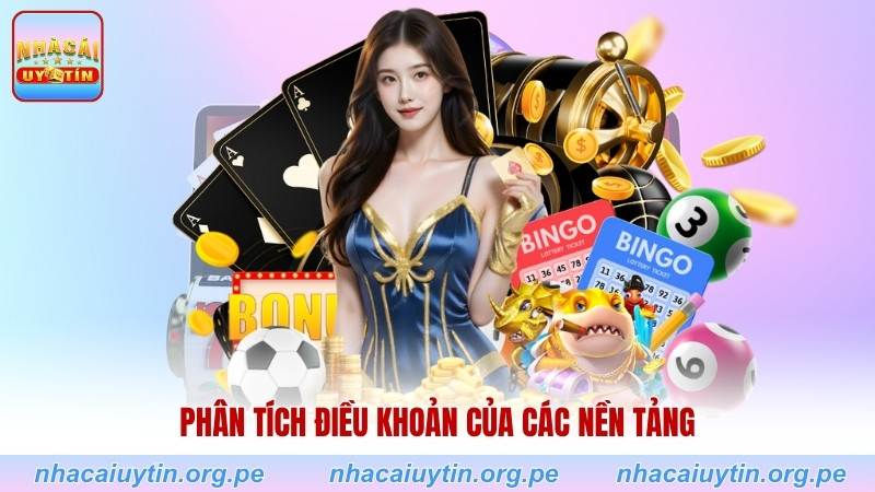 Phân tích điều khoản của các nền tảng