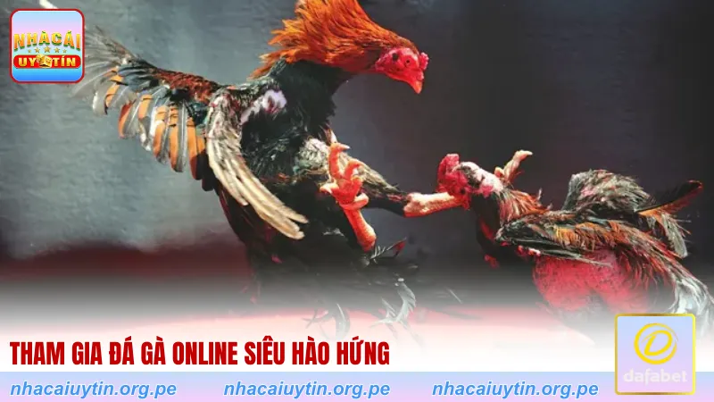 Tham gia đá gà online siêu hào hứng