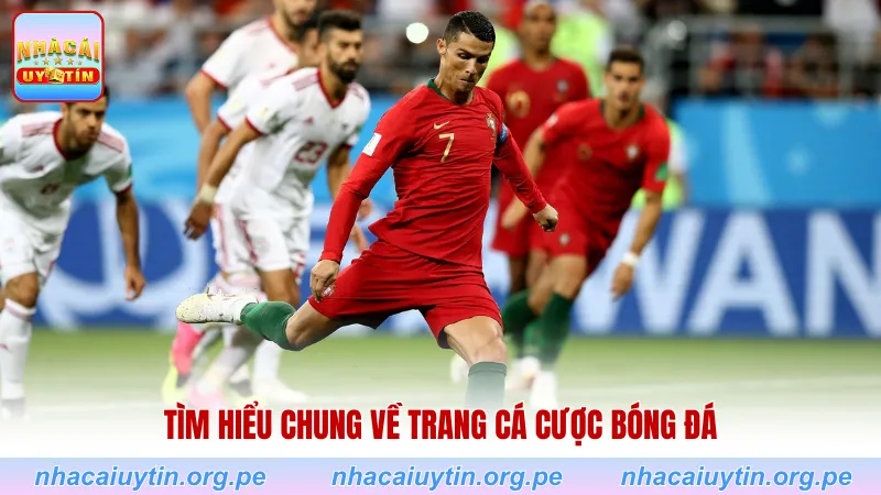 Tìm hiểu chung về trang cá cược bóng đá