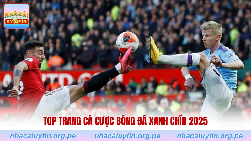 TOP trang cá cược bóng đá xanh chín 2025