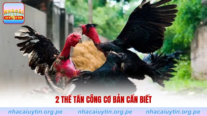 2 thế tấn công cơ bản cần biết