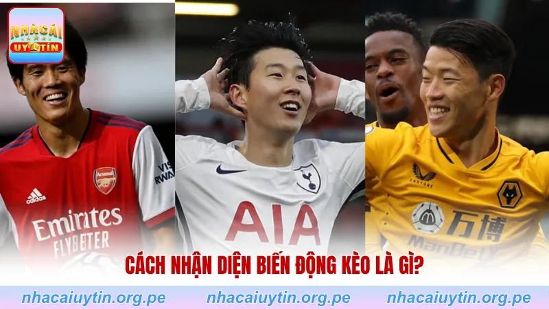 Cách nhận diện biến động kèo là gì?