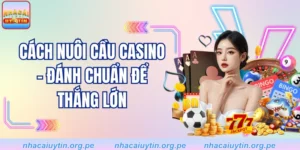 Cách nuôi cầu casino - Đánh chuẩn để thắng lớn