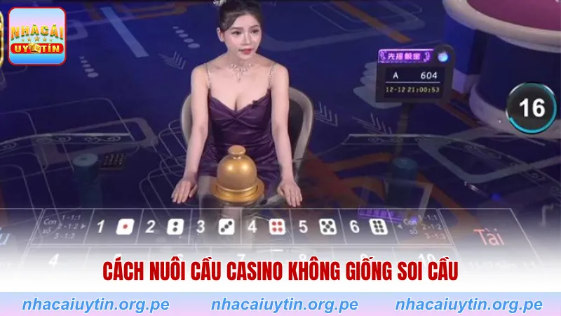 Cách nuôi cầu casino không giống soi cầu