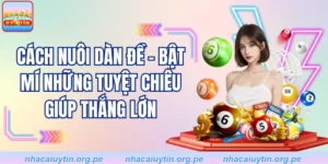 Cách Nuôi Dàn Đề - Bật Mí Những Tuyệt Chiêu Giúp Thắng Lớn