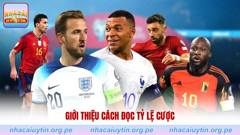 Giới thiệu cách đọc tỷ lệ cược