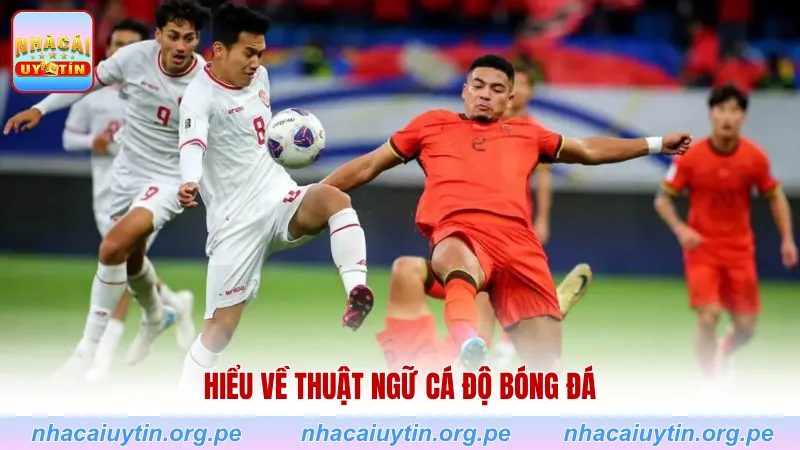 Hiểu cơ bản thuật ngữ cá độ bóng đá