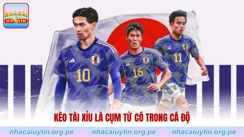 Kèo tài xỉu là cụm từ có trong cá độ