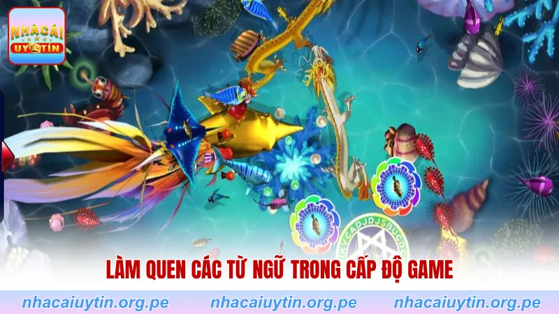 Làm quen các từ ngữ trong cấp độ game