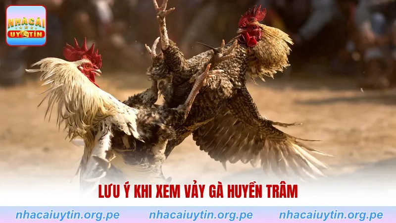Lưu ý khi xem vảy gà huyền trâm