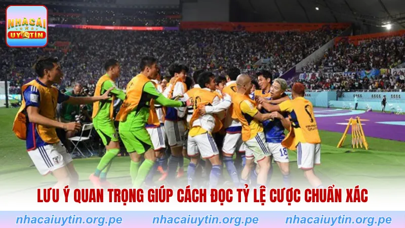 Lưu ý quan trọng giúp cách đọc tỷ lệ cược chuẩn xác