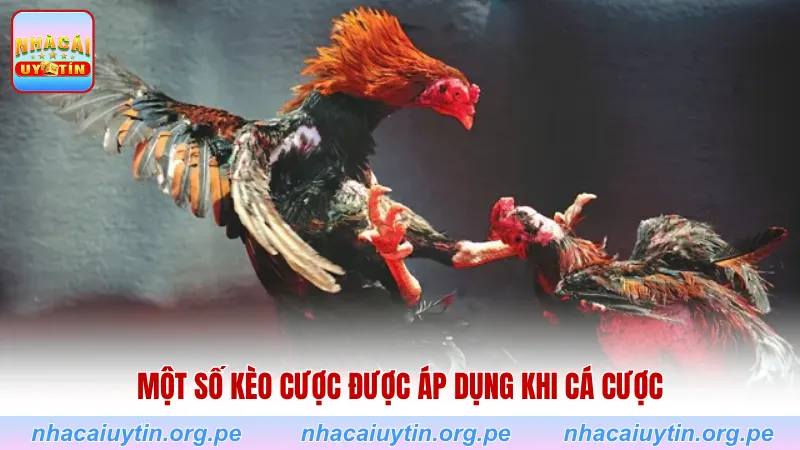 Một số kèo cược được áp dụng khi cá cược