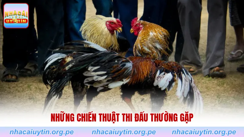 Những chiến thuật thi đấu thường gặp