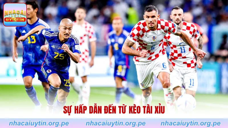 Sự hấp dẫn đến từ kèo tài xỉu