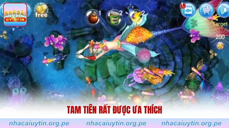 Tam tiên rất được ưa thích