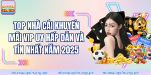 Top Nhà Cái Khuyến Mãi Vip Uy Hấp Dẫn Và Tín Nhất Năm 2025