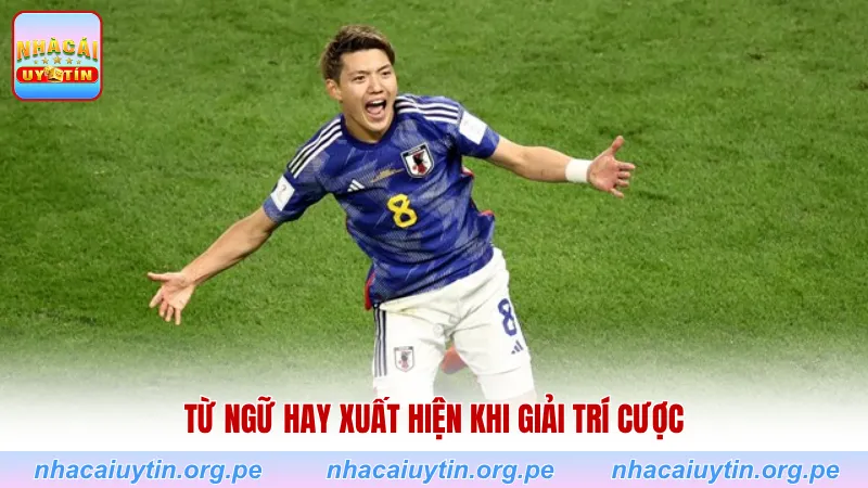 Từ ngữ hay xuất hiện khi giải trí cược