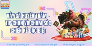 Vảy Gà Huyền Trâm - Tip Chọn Và Chăm Sóc Chiến Kê Đặc Biệt 