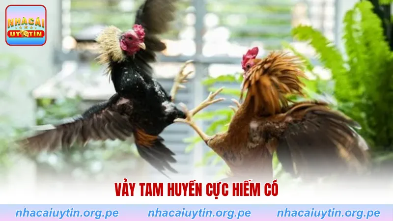 Vảy tam huyền cực hiếm có